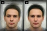 Toxoplazma nejspíše ovlivňuje  i lidský vzhled. Nakažení studenti jsou na fotografiích v průměru ženami hodnoceni jako dominantnější a mužnější.  Tento rozdíl je patrný i na tzv. kompozitních fotografiích. Levý obr. je složen  z 22 snímků nenakažených jedinců,  pravý z 22 fotografií studentů nakažených toxoplazmou. Foto z archivu  J. Flegra. Snímky převzaté z knihy  Pozor, Toxo! (Academia, Praha 2011)
