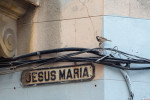 Jakého původu je kubánská populace vrabce domácího (Passer domesticus), není známo – dokonce i u tak detailně probádaného druhu  zeje v jeho poznání řada mezer. Havana, Kuba. Foto T. Grim