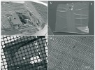 Řezy fosiliemi v jantaru pro optickou (LM) a elektronovou mikroskopii (TEM): obr. a – pyramida na povrchu  jantaru s končetinou hmyzí fosilie (okrouhlá dutina); b – polotenký řez odkrojený z pyramidy; c – ultratenký řez odkrojený z pyramidy; d – jako typický artefakt na ultratenkých řezech  jantarem najdeme „vlnkování“ řezu viditelné při větším zvětšení. Foto F. Weyda