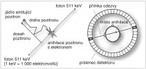 Princip pozitronové emisní tomo­grafie. Blíže v textu. Upraveno podle: S. R. Cherry a S. S. Gambhir (2001)