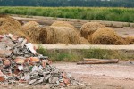 Okolí zemědělského družstva ve Vysoké nad Labem představuje v současnosti největší zimoviště i hnízdiště  chocholoušů v Čechách. V zimě zde žije 10–15 jedinců a hnízdí tu dva až tři páry. Foto L. Praus