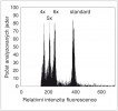 Histogram analýzy z průtokového cytometru, kdy jsou najednou analyzovány tři běžné ploidie puchýřníku křehkého (Cystopteris fragilis) vyskytující se v České republice spolu s tzv. interním standardem, kterým je bob obecný (Vicia faba cv. Inovec). Díky poměru píku vzorku a standardu (u kterého známe velikost genomu)  lze zjistit velikost genomu analyzovaného puchýřníku a následně odvodit jeho  ploidii (4x – tetraploid, 5x – pentaploid, 6x – hexaploid). Orig. J. Ptáček