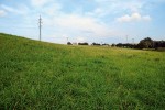 Příklad nevhodného suchozemského prostředí pro dospělce vážky rumělkové. Homogenní a intenzivně sečená louka. Foto M. Hykel