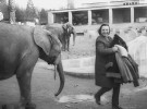 Mezi zvířaty se cítila vždy dobře. Foto V. Motyčka