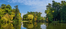 Anglický park u Lednického zámku s množstvím osamoceně stojících osluněných stromů nabízí příhodné biotopy hmyzu a dalším bezobratlým.  Foto J. Miklín