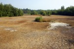 Vystouplá výsušná centrální část  křemelinového štítu (9. července 2013). Foto J. Brabec