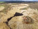 Pohled z dronu (od jihu k severu) na oblast slanisek Soosu, která postupně zarůstají kruhovité porosty rákosu.  Pěšiny v rákosových porostech a nocležiště jsou od divokých prasat. V horní střední části fotografie je patrný pás zarostlý břízami patřící tělesu bývalé vlečky přes slaniska (11. dubna 2017). Foto V. Řežábek
