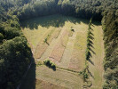 Posun seče v PR Mazurovy chalupy při strojovém sečení, zachycený dronem. Foto V. Lemberk
