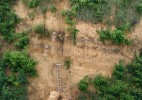 Drtivá většina sprašových odkryvů, na kterých Jiří Kukla demonstroval  zákonitosti pedo-sedimentárního vývoje  kvartérního prostředí, je dnes minulostí. Na snímku je stěna ve sprašové rokli v Zeměchách u Kralup – jedna z mála lokalit v Čechách, kde je zachycen úplný sled spraší, paleopůd a svahových sedimentů posledního klimatického cyklu. Ve spodní části profilu zřetelná mnohametrová návěj spraše z předposledního glaciálu, na jejímž povrchu se v období posledního interglaciálu vyvinul půdní komplex sestávající z lesní půdy typu luvizem a stepní černozemě (PK III). V jeho nadloží se nachází sekvence  svahovin s dvojicí černozemí (PK II), reprezentující období časného glaciálu. Ta je překrytá svahovinami a spraší z pleniglaciální fáze se slabě vyvinutou hnědozemí (PK I), náležející klimaticky příznivějšímu období tohoto úseku. Foto S. Meszner