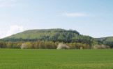 Pohled od Boršova na nejmohutnější část kuesty Hřebečského hřbetu s vrcholem Roh (660 m n. m.). Údolí Stříbrného potoka (vpravo) tuto partii kuesty částečně odděluje. Časem vznikne z Rohu stolová hora. Foto O. Hrubý