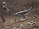 Mělkovodní prostředí svrchního tu­ronu české křídové pánve (ca 90 milionů let) v oblasti Českého ráje s prvky kosmopolitními (loděnky Eutrephoceras), tethydními (mlži Pinna) a boreálními (amoniti). Orig. P. Modlitba, rekonstrukce  pro Chlupáčovo muzeum historie Země