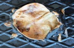 Preparace zbytků měkkých tkání z kožky krtka obecného (Talpa europaea) při vytváření balku. Foto T. Kočí
