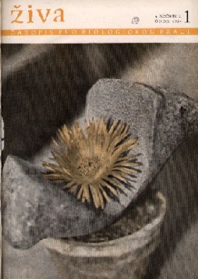 Obálka časopisu Živa 1954/1