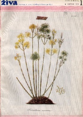 Obálka časopisu Živa 1955/1