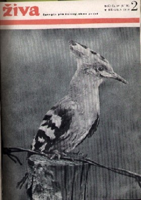 Obálka časopisu Živa 1956/2
