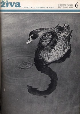 Obálka časopisu Živa 1957/6