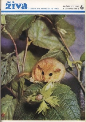 Obálka časopisu Živa 1968/6