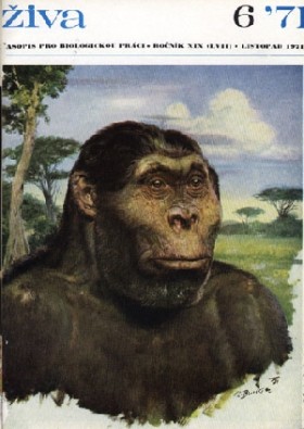 Obálka časopisu Živa 1971/6