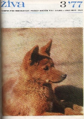 Obálka časopisu Živa 1977/3