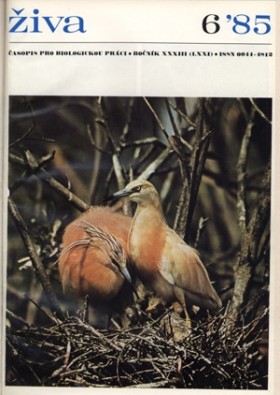 Obálka časopisu Živa 1985/6
