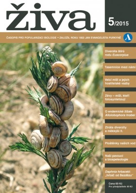 Obálka časopisu Živa 2015/5