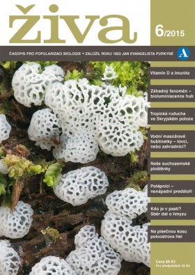 Obálka časopisu Živa 2015/6