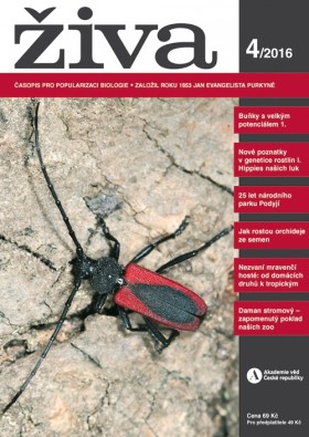 Obálka časopisu Živa 2016/4