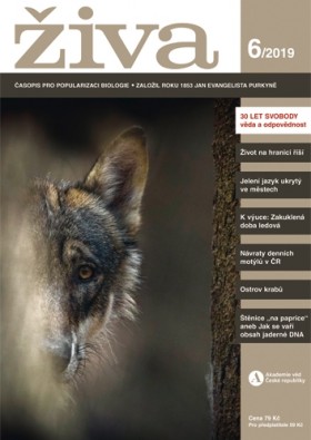 Obálka časopisu Živa 2019/6