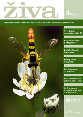 Obálka časopisu Živa 2025/4
