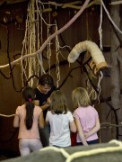 Výstava Kořeny, Západočeské muzeum v Plzni. Foto Václav Marian