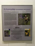 Galerie a literární kavárna knihkupectví Academia v Praze