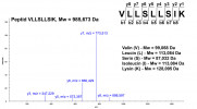 Záznam MS2 spektra. Intenzity fragmentových iontů v MS2 spektru vzniklé z prekurzorového iontu m/z = 493,3364, z = 2 (peptid s aminokyselinovou sekvencí VLLSLLSIK, molekulová hmotnost Mw = 985,673 Da, jednotka Da – dalton). Peptidy se mohou fragmentovat v oblasti peptidové vazby, čímž vznikají ionty typu b (N-koncová část peptidu) a y (C-koncová část peptidu). Čísla b a y iontů ukazují počet aminokyselinových zbytků v iontu. Jak je patrné z MS2 spektra, rozdíly hodnot m/z mezi jednotlivými y ionty jsou rovny Mw odpovídajícího aminokyselinového zbytku. Mw uvedené v obr. patří aminokyselinovým zbytkům bez H2O, uvolněné při vzniku peptidové vazby. Orig. autoři článku