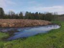 Nejen na vyhlášené lokality se vyplatí zajít, důležitější je často biotop – na polní hnojiště zalétají ptáci za potravou. Foto A. Klvaňová