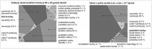 Obměna jednotlivých buněčných typů přepočtená na hmotnost a počet buněk. Na počet (vpravo) jasně vítězí  červené krvinky, na hmotnost je situace vyrovnanější, spolu s červenými krvinkami jde o neutrofilní granulocyty a epitely tenkého a tlustého střeva. Upraveno podle: R. Sender a R. Milo (2021)