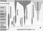 Biodiverzita linií obratlovců  v různých geologických obdobích ukazuje pozvolný nástup paprskoploutvých ryb během prvohor a druhohor a jejich  dominanci od třetihor. Podle různých zdrojů, upraveno